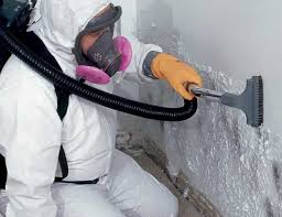 Environmental Consulting for Mold Prevention in Vergennes, VT